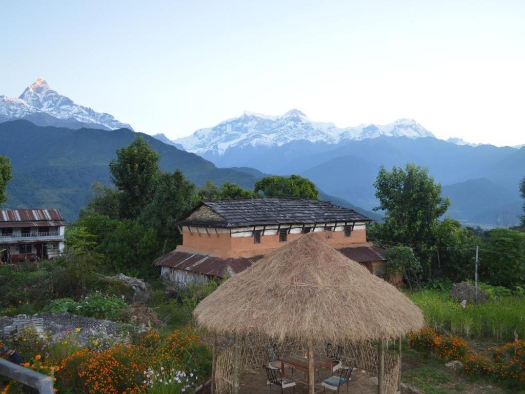 Mystique Highland Resort Ποκάρα Εξωτερικό φωτογραφία