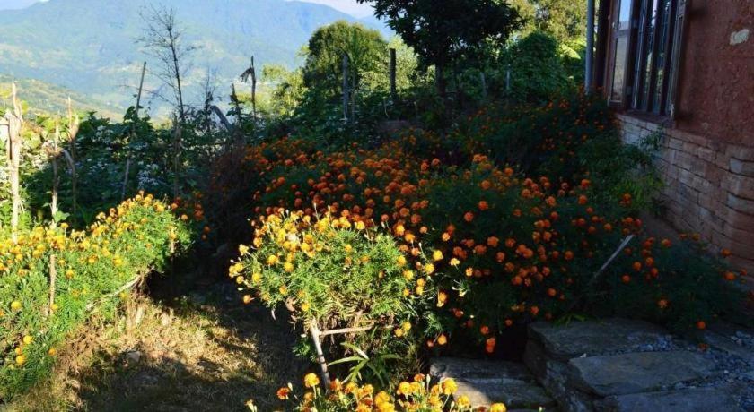 Mystique Highland Resort Ποκάρα Εξωτερικό φωτογραφία